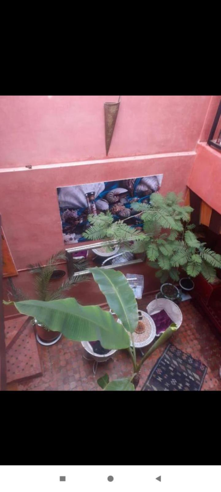 Riad Hanafi Marrakesch Exterior foto